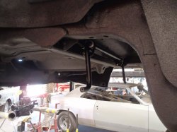 200727 80 Pontiac Trans Am (4).JPG